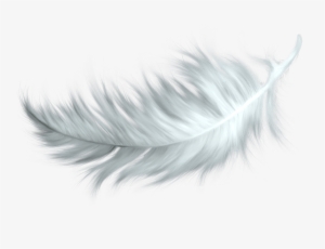 White Feather Transparent Png - Feather Transparent Background #722911