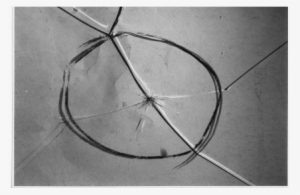 Sauce - Https - //catalog - Archives - Gov/id/305143 - Circle #723229