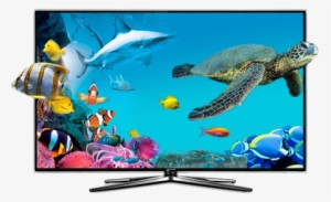 Lcd Led Tv - Himeji Castle #723255