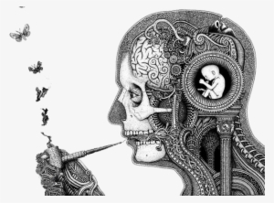 Thought Illustration Irritability Skull - Alchemy Homunculus #724423 Thought Illustration Irritability Skull - Alchemy Homunculus #724423