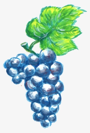 Free Download - Seedless Fruit #724856