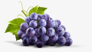 The Mighty Concord - Welch's Refreshingly Simple Concord Grape Juice - 59 #725056
