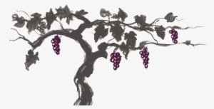 Our Wines - Hangtime Pinot Noir #725138