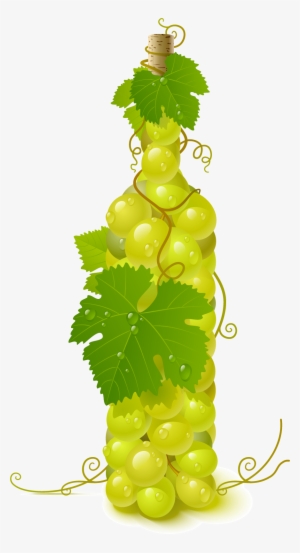 Grapevine Clipart Pattern - Grapes Vector #725212