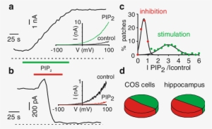 Dual Regulation Of Trek 1 By Pip - Diagram #725584