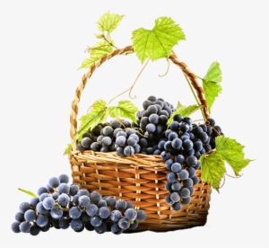 Red Wine Grapes In Basket #725725