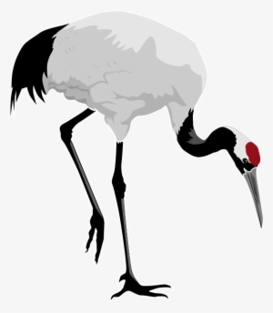 Red-crowned Cranes - Google Zoeken - Red Crowned Crane Clipart #726164