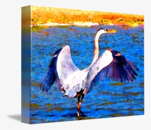 Clip Stock Great Blue By Ralph Nelsen - Drawing #726185