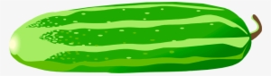 Pickled Cucumber Vegetable Melon Cucurbita Pepo Var - Cucumber Illustration Png #726659