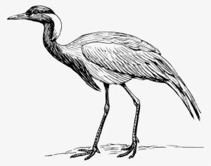 Bird Clipart Blue Crane - Crane Drawings Bird #726683