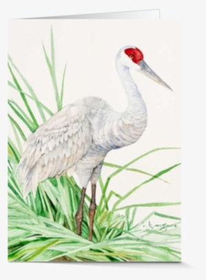 Artist Cards - Facebook #726780