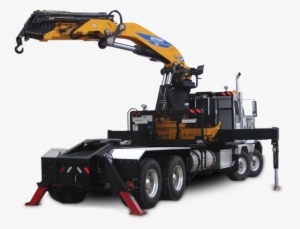 Cranes Cranes Cranes - Crane #727005