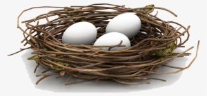 Nest Png Hd - Nest Png #727022