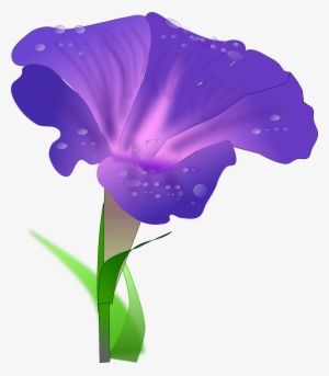 Japanese Morning Glory Drawing Flower Water Spinach - Morning Glory Png #727172