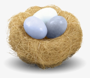 Nest Png Picture - Nest Png #727328
