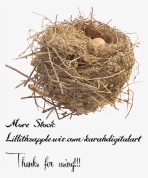 Nest Free Png Image - Stock Photography #727369