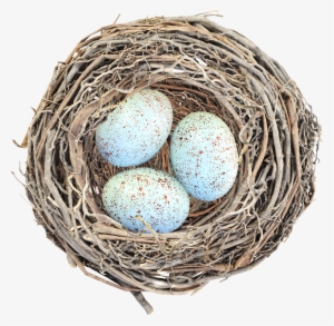 Nest Png #727478