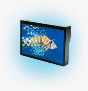 175 Led Monitor - Light-emitting Diode #727498