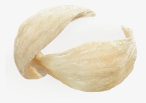 Edible Birds Nest Bowl Shape - Edible Bird's Nest #727608