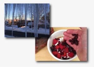 Microwave Power Cereal Icicles - Dessert #727960