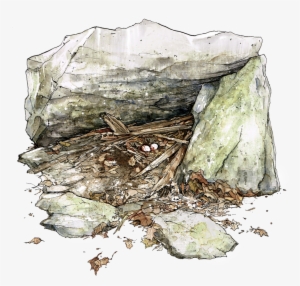 Vulturenest - Portable Network Graphics #728207