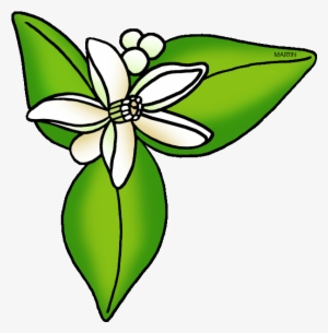 United States Clip Art By Phillip Martin - Orange Blossom Clipart #728733