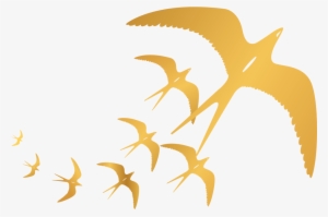 Edible Bird's Nest #729172