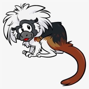 Tamarin - Cotton Top Tamarin Png #729429