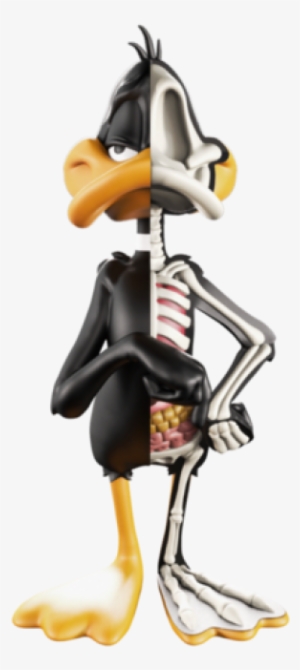 Xxray Looney Tunes #729535