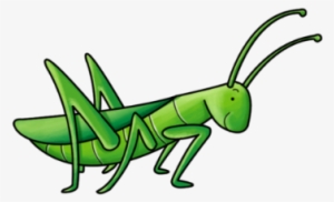 Cartoon Cricket Png #729538