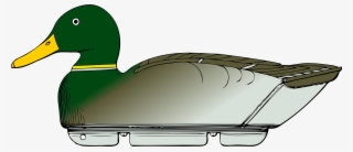 Donald Duck Daffy Duck Download Computer Icons Free - Duck Decoy Clipart #729770