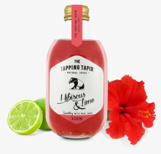 Hibiscus & Lime #7202915