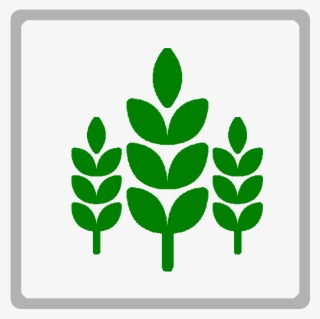Agricultura #7207470