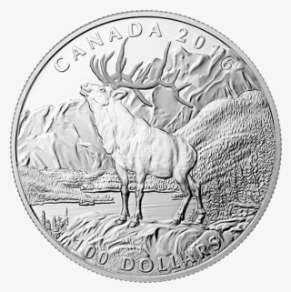 $100 Fine Silver Coin #7208674