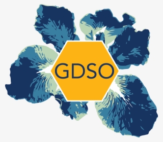 At Uc Berkeley #7212113