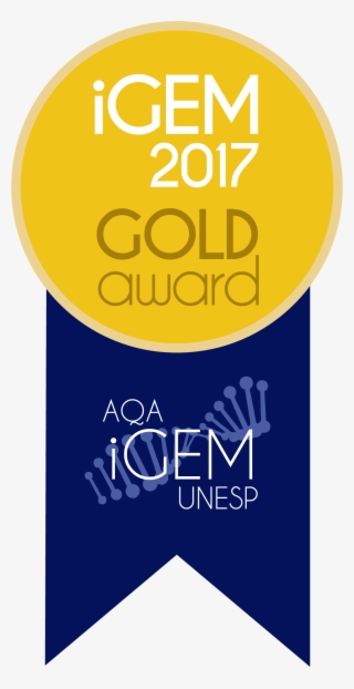 2017 Gold Png #7215736