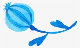 Amapola Ornamental Pinceles Pintura Png #7216830