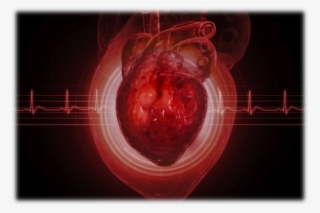 Brosschot, Jos F #7217668