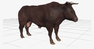 Bull Cattle Bison Horn Hairy Men Transprent #7219204