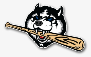 Prev / Next #7220354