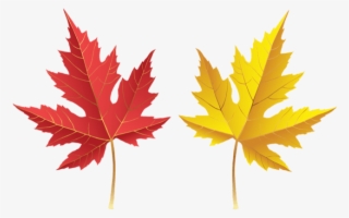 Free Png Fall Leves Png Images Transparent #7221670