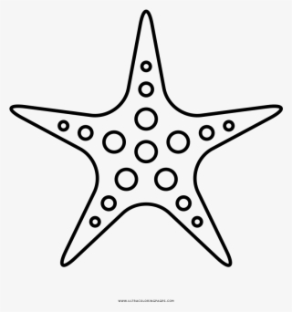 Banner Black And White Download Starfish Clip Art Transprent #7221735