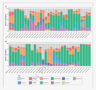 Relative Abundances Of The 10 Most Common Genera In #7224583