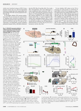 Time Magazine Png #7227133
