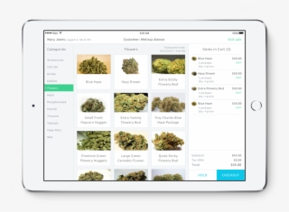 Blaze Retail Marijuana Pos Software #7227189