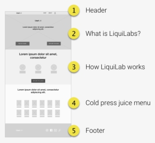 Wireframe #7229989