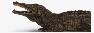 Pjsalt Png #7233939