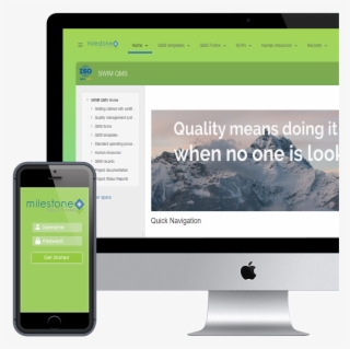 Swim Quality Business Management #7234805