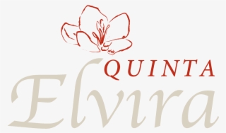 Hotel Boutique Quinta Elvira, Ubicado En Cuernavaca, #7236584