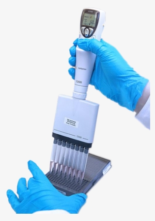 Organ On A Chip Workshop #7239447